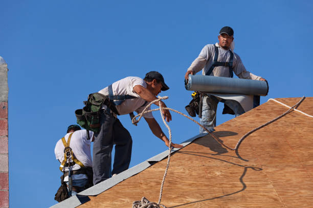 Best Commercial Roofing Services  in Shelby, MI