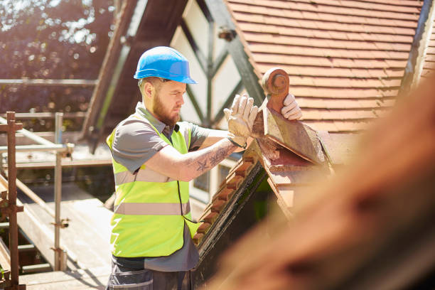 Best Roof Gutter Cleaning  in Shelby, MI